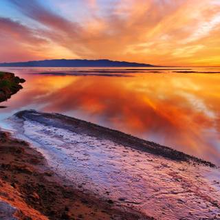 Colourful nature wallpaper