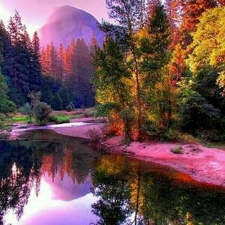Colourful nature wallpaper