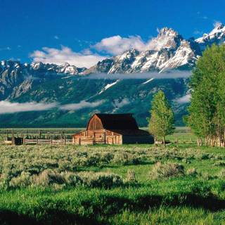 Little farm wallpaper