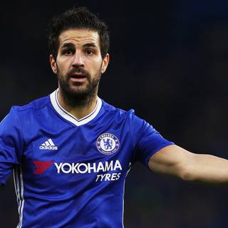 Fabregas Chelsea wallpaper