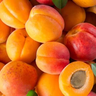 Peach fruit wallpaper
