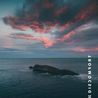 Yes Theory wallpaper