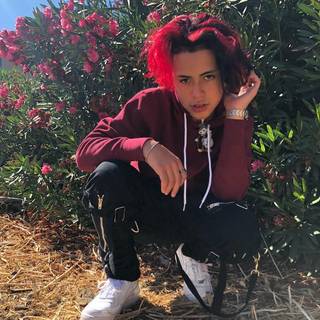 Sui Generis wallpaper