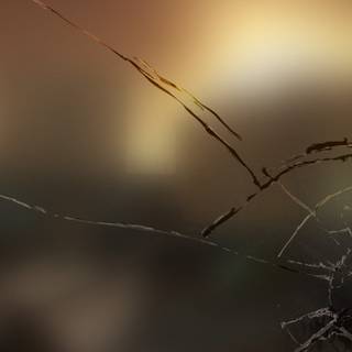 Glass blur desktop wallpaper