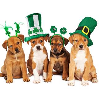Animal St Patrick's Day wallpaper