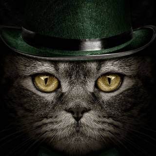 Animal St Patrick's Day wallpaper
