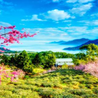 Spring skies wallpaper