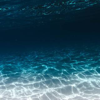 Bottom of the sea wallpaper