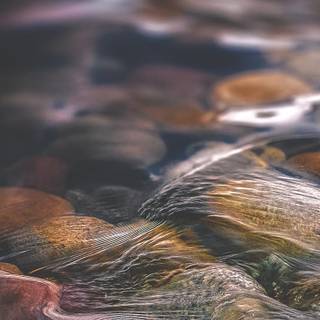 Nature iPhone 12 wallpaper