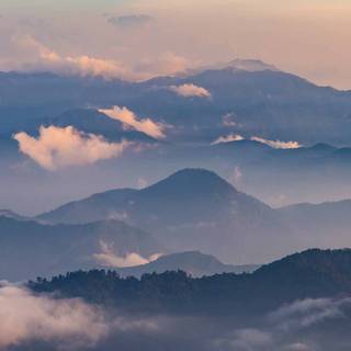 Nature iPhone 12 wallpaper