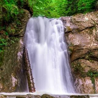 Spring outdoors wallpaper