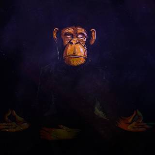 Space monkey wallpaper