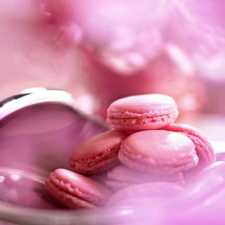 Pink macarons wallpaper