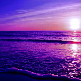 Purple sea wallpaper