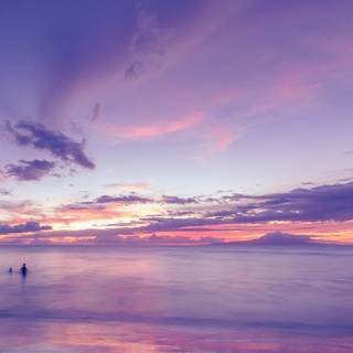 Purple sea wallpaper