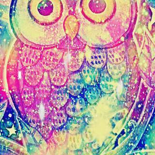 Midnight owl wallpaper
