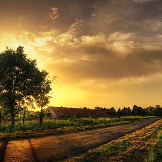 Country scenes wallpaper