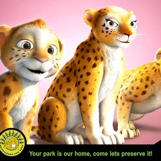 Delhi Safari wallpaper