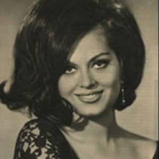 Türkan Şoray wallpaper