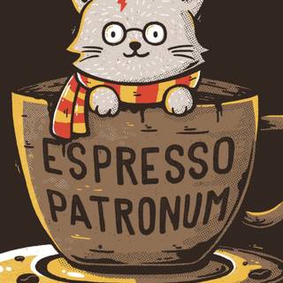 Harry Potter cat wallpaper