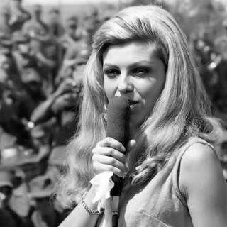 Nancy Sinatra wallpaper