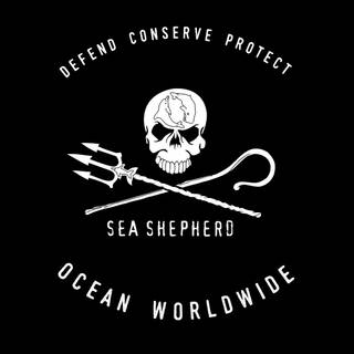 Sea Shepherd wallpaper