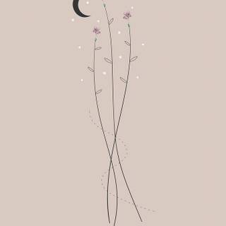 Moon drawing wallpaper