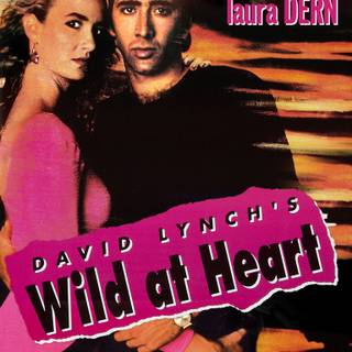 Wild At Heart wallpaper