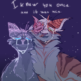 Cinderpelt wallpaper