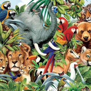 Tropical animals wallpaper