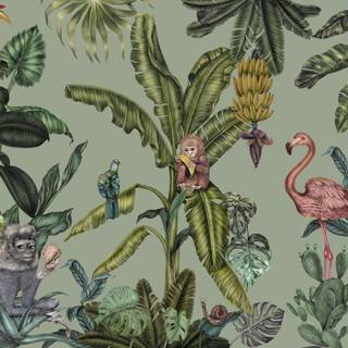 Tropical animals wallpaper