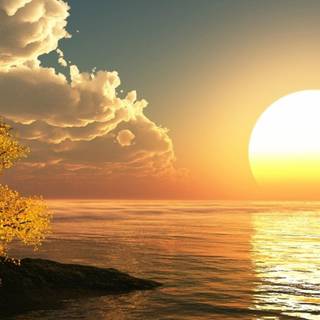 Morning scenery wallpaper