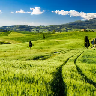 Windows nature wallpaper