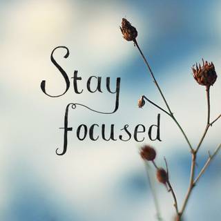Stay Focused desktop wallpaper