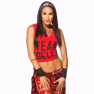 Bella Twins computer wallpaper