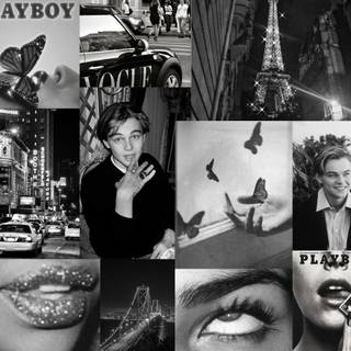 PC Leonardo DiCaprio wallpaper