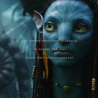 Avatar movie desktop wallpaper