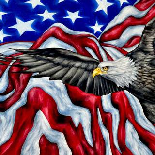 USA eagle wallpaper