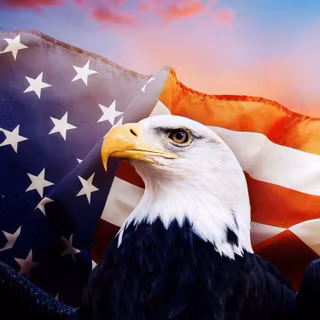 USA eagle wallpaper