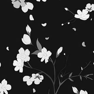 Black Sakura wallpaper
