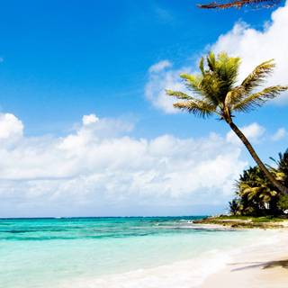 Desktop Caribbean beach wallpaper