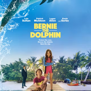 Bernie The Dolphin wallpaper