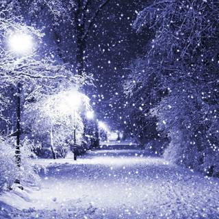 Snow blizzard wallpaper