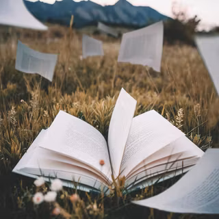 Reading aesthetic wallpaper