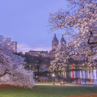 New York City spring wallpaper