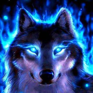 Cool blue wolf wallpaper