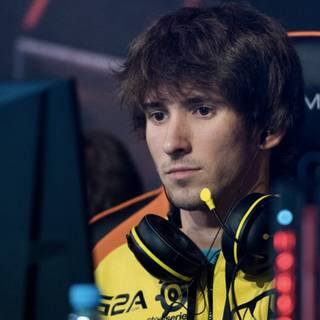 Dendi wallpaper