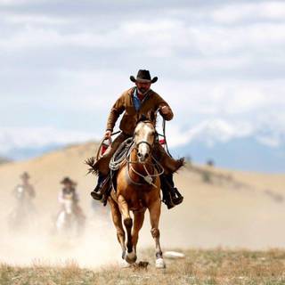 Horseback riding wallpaper