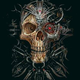 Skull love wallpaper