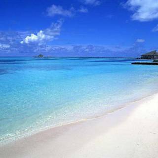 Cute beach wallpaper